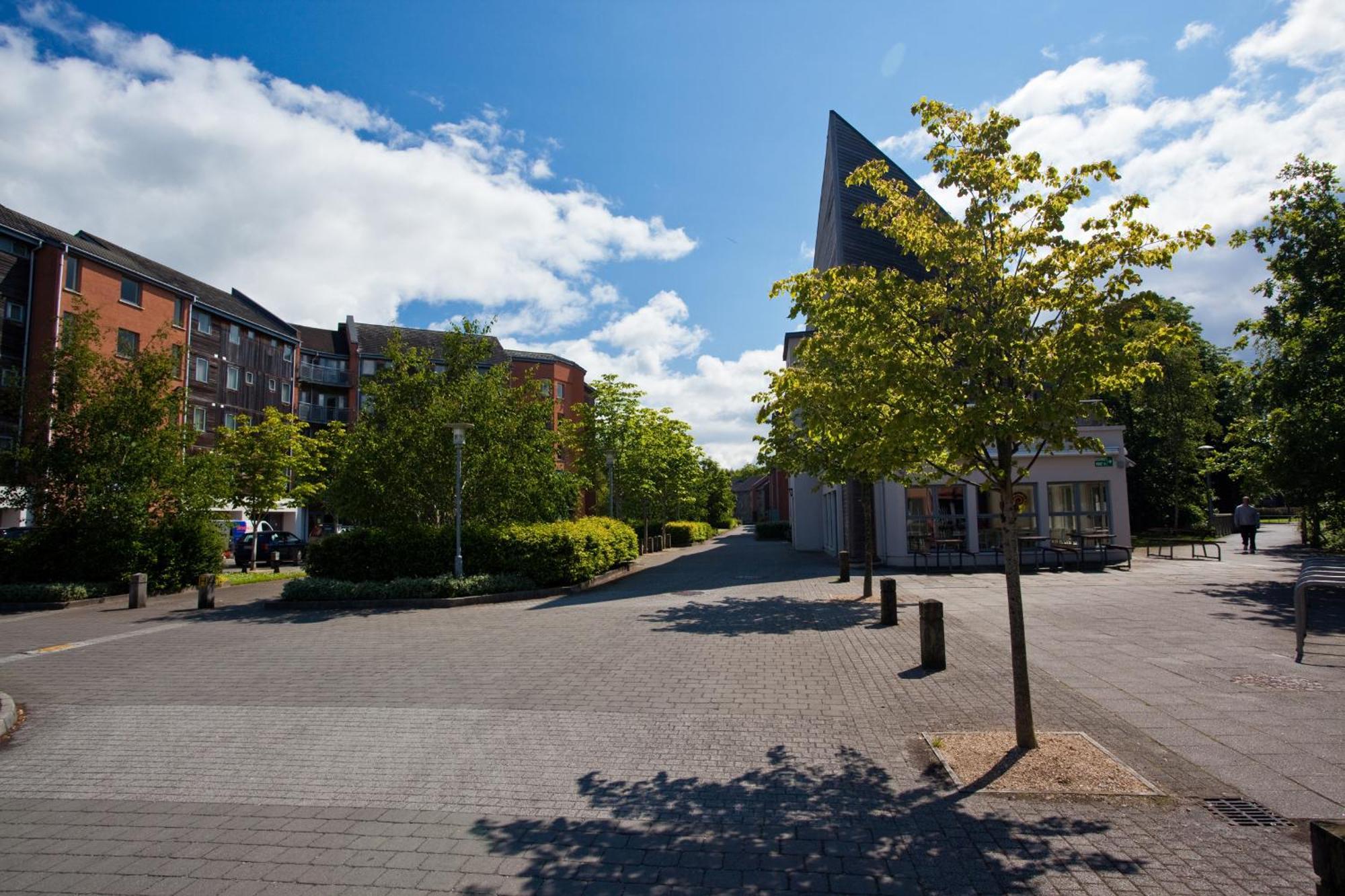 Dromroe Village University Of Limerick Exterior photo